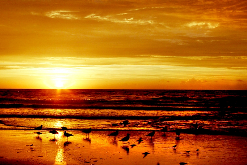 shore sunrise 1 � Dave Hickey (hicspix)